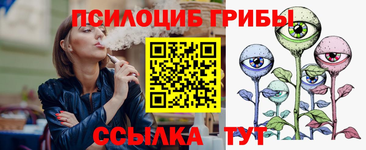 Качканар  Галлюциногенные грибы Psilocybe  Вход с VPN 